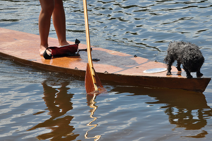 Hand built paddle and board, kid and dog.